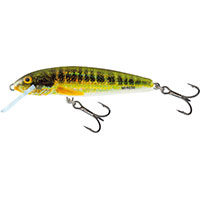 6cm Sinking Holo Real Minnow