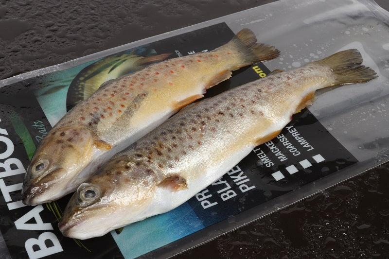 Baitbox Pike Baits Trout 6-7”