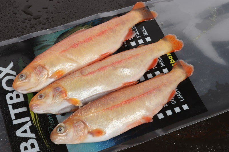 Baitbox Pike Baits Trout 6-7” Golden