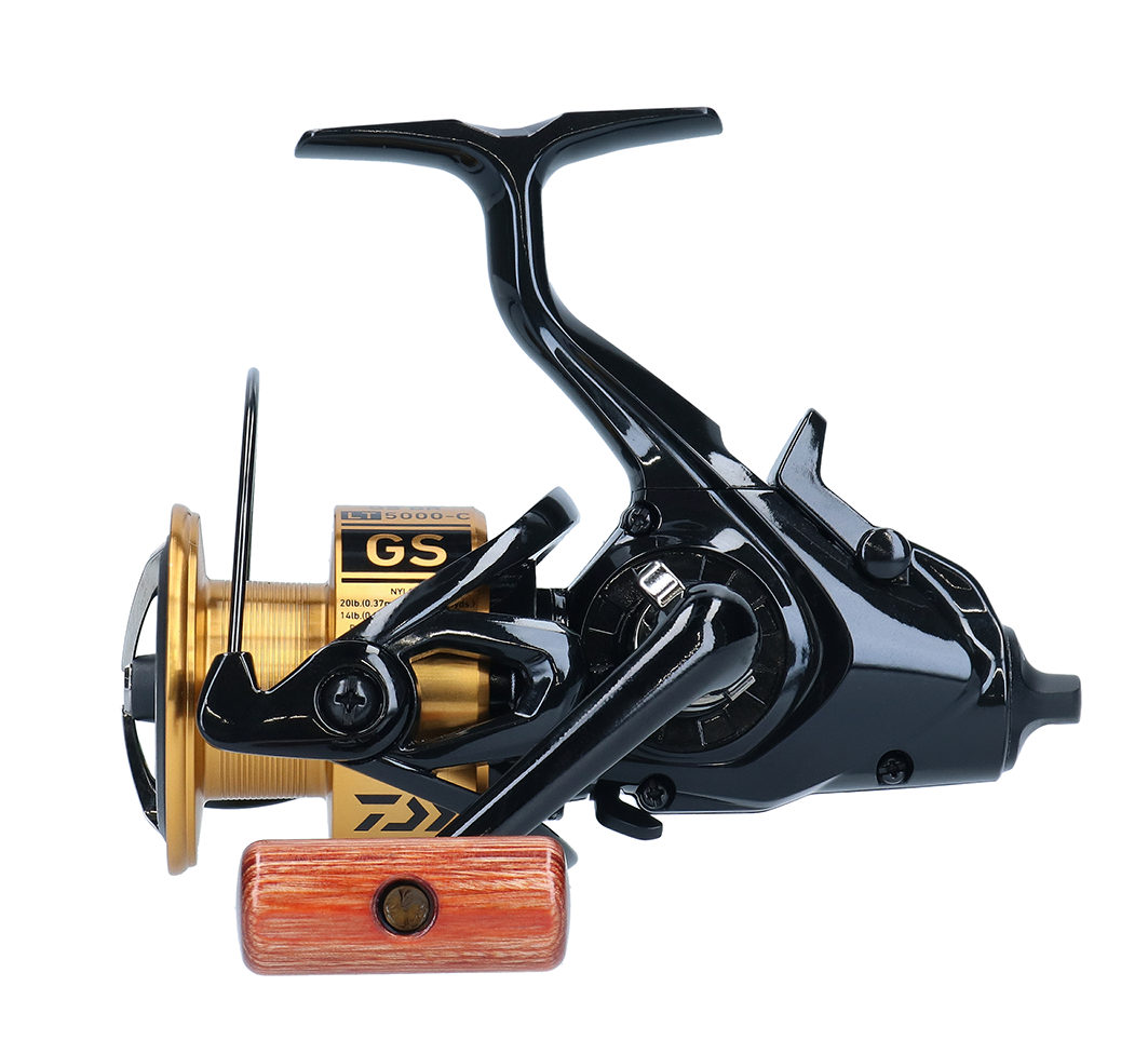 Daiwa 20 GS BR LT 5000-C