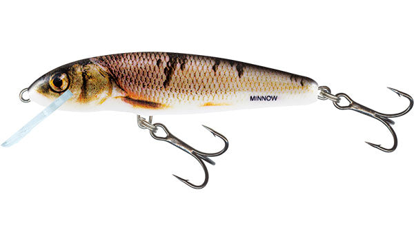 Salmo Minnow wounded dace 7cm