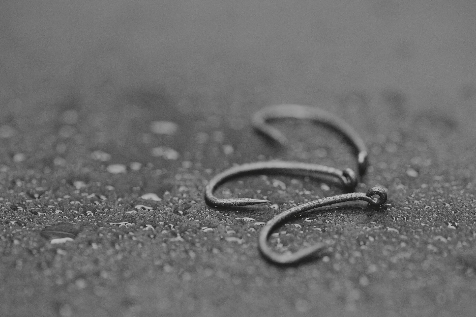 Thinking Anglers Curve Shank Hooks TACS BARBED